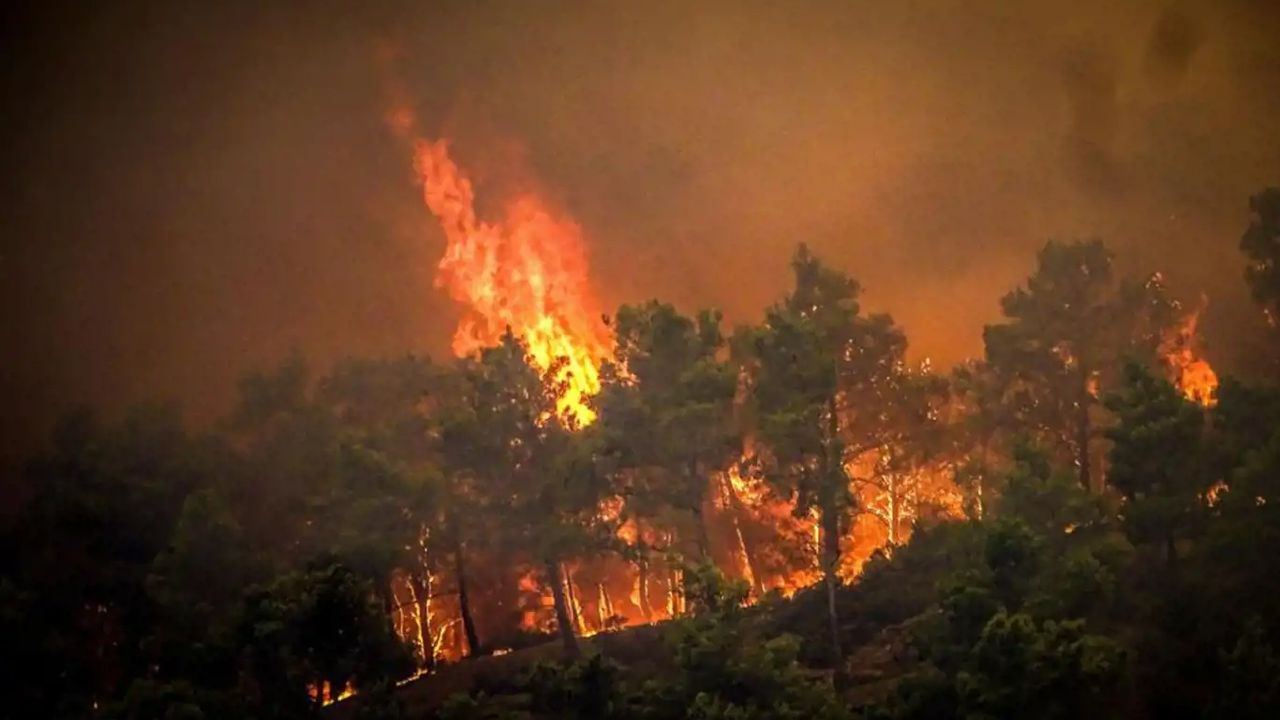 Soma'da Orman Yangını: Karadan ve Havada Müdahaleler Devam Ediyor
