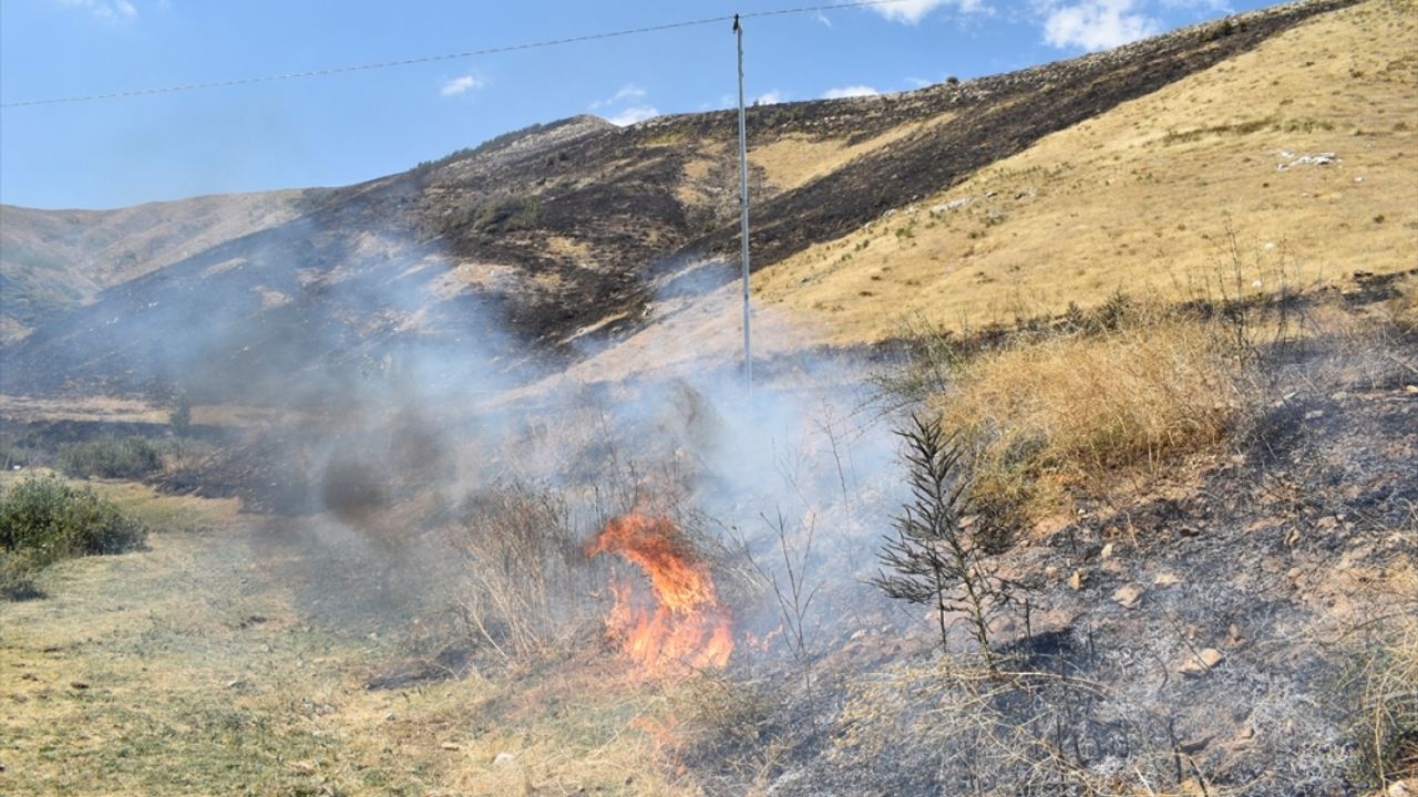 Bitlis'te çıkan yangınında 12 hektar alan zarar gördü