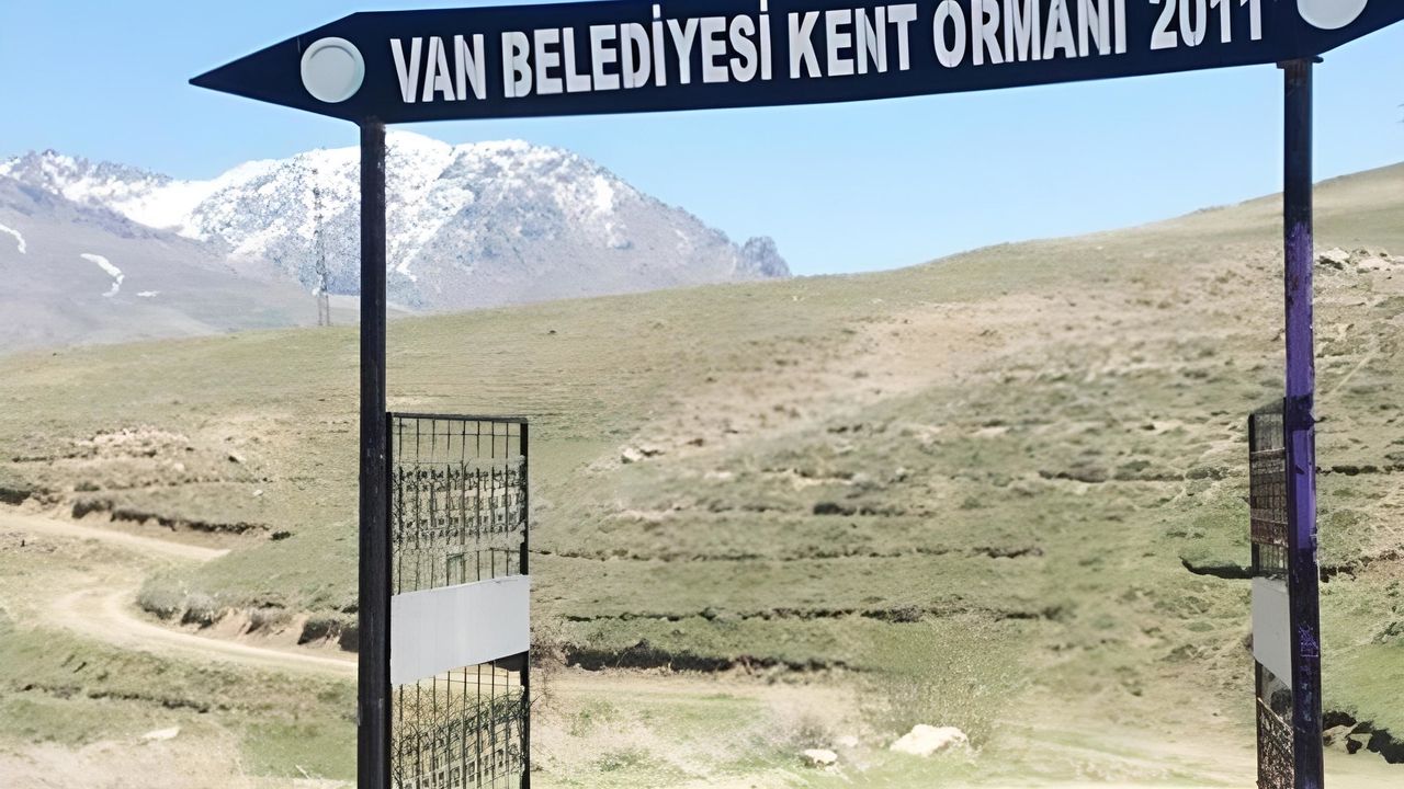Van'da Vizontele Filmini Aratmayan Durum: Orman Yok, Sadece Müdürlük Var!
