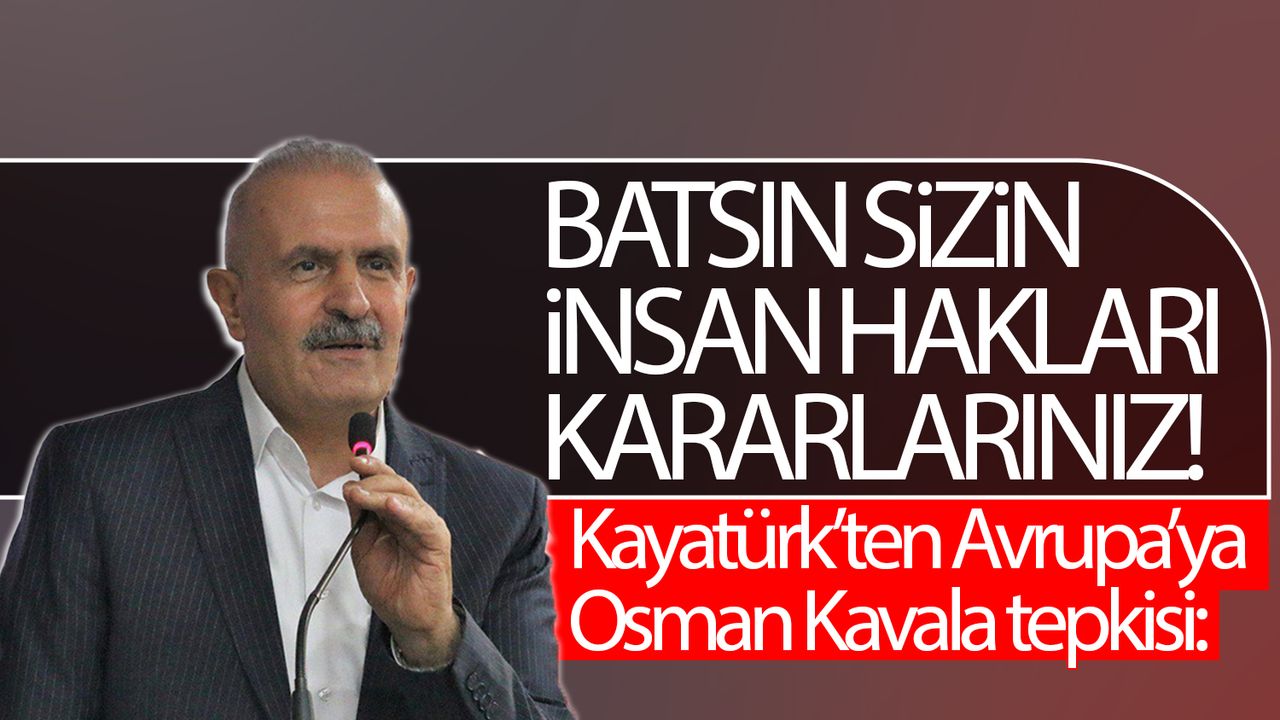 Van Milletvekili Kayatürk’ten Osman Kavala çıkışı: Batsın sizin insan hakları kararlarınız
