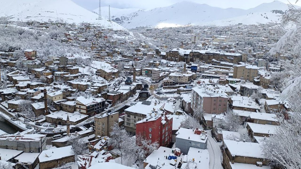 Bitlis'te kar günlük hayatı olumsuz etkiledi