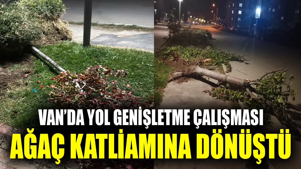 Van’da yol genişletme çalışması ağaç katliamına dönüştü