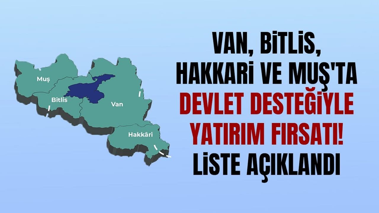 Van, Bitlis, Hakkari ve Muş'ta devlet desteğiyle yatırım fırsatı! Liste açıklandı