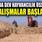 Van'da dev hayvancılık üssünde çalışmalar başladı