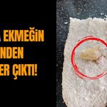 Van’da ekmeğin içinden sünger çıktı!