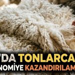 Van’da tonlarca yün ekonomiye kazandırılamıyor