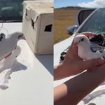 Van’da drone destekli kaçak av denetimi