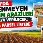 Van’da işlenmeyen tarım arazileri kiraya verilecek: 105 parsel listede