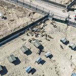 Van'da üç ilçeye doğal yaşam alanı kazandırılıyor
