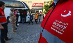 229 Afgan göçmen ülkelerine gönderildi