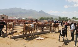 81 ile 'kurban kesimi' genelgesi