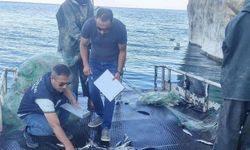 Van'da İnci Kefali Denetimi yapıldı