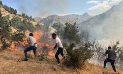 Hakkari'de orman yangını.