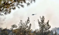 Kahramanmaraş'ta orman yangını