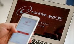 e-Devlete rekor başvuru. işte 2023 yılı 8 aylık uygulama giriş sayısı