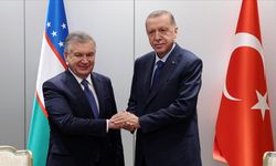 Cumhurbaşkanı Erdoğan, Özbekistan Cumhurbaşkanı Şevket Mirziyoyev ile görüştü