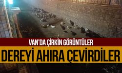 Akköprü deresini ahıra çevirdiler!