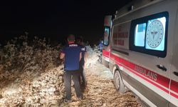 Mısır tarlasında erkek cesedi bulundu. Soruşturma başlatıldı.
