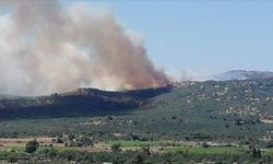 Çanakkale'deki orman yangını kontrol altına alındı