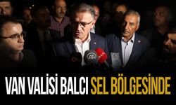 Van Valisi Balcı Sel Bölgesinde