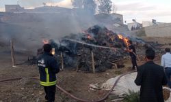 Van'da iki kişiye ait 8 bin bağ ot yandı
