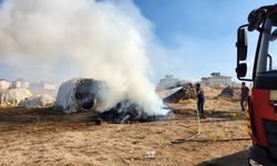 Van'da yangın paniği: Odun ve tezekler küle döndü