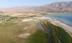 Van Gölü’nün sulak alanları yok oluyor