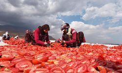 Doğu Anadolu Bölgesinde Avrupa ülkelerine ihracat