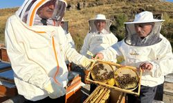 Bitlis Eren Üniversitesi, Çalışmalarıyla Bitlis Balının Kalitesini Artıracak!