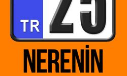 25 nerenin plakasıdır?