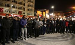 İsrail'in Gazze'ye yönelik saldırıları Van, Muş ve Bitlis'te protesto edildi