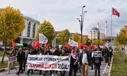 Bitlis'te Gazze için basın açıklaması ve yürüyüş