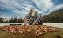 Bitlis'te “Emeğin Rengi” isimli fotoğraf sergisi açıldı