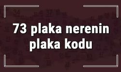 73 nerenin plakası?