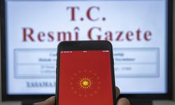 Kamu alacaklarında gecikme zammı yükseldi