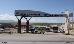 Hastalık nedeni ile kapatılan hayvan borsası açılıyor