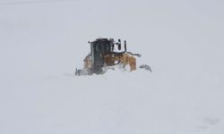 Ağrı ve Erzurum'da bazı noktaların ulaşımı kapandı