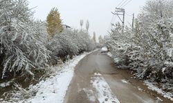 Van'da bu yollar kapalı: Sürücüler dikkat