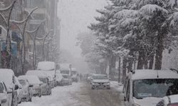 Meteoroloji'den Bitlis için kar yağışı uyarısı