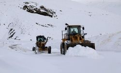 Van’da 16 mahalleye ulaşım yok