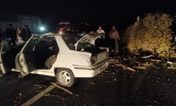 Van'da trafik kazası; 1 yaralı