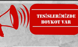 Bahçesaray Belediyesi’de boykot karar aldı