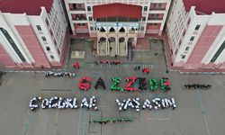 Van'da anlamlı koreografi: Gazze'de Çocuklar Yaşasın