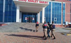 Van'da 17 yıl kesinleşmiş hapis cezası bulunan şahıs tutuklandı