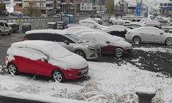 Bitlis'e mevsimin ilk karı düştü