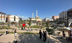 Yüksekovalılardan 'Anjiyo Ünitesi' talebi