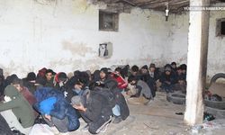 Van’da düzensiz göçmen operasyonu:129 yakalandı