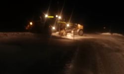 Gürpınar Belediyesi'nden karla mücadele mesaisi!