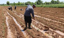 Bakan Yumaklı, tarımsal destek ödemesinin hesaplara yatırıldığını açıkladı