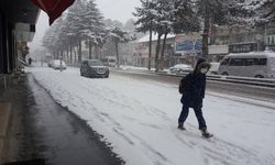 Bitlis'te bugün hava durumu nasıl olacak! Bitlis'te kar yağışı var mı?